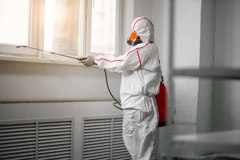 Professional mold remediation services in Leeton, MO